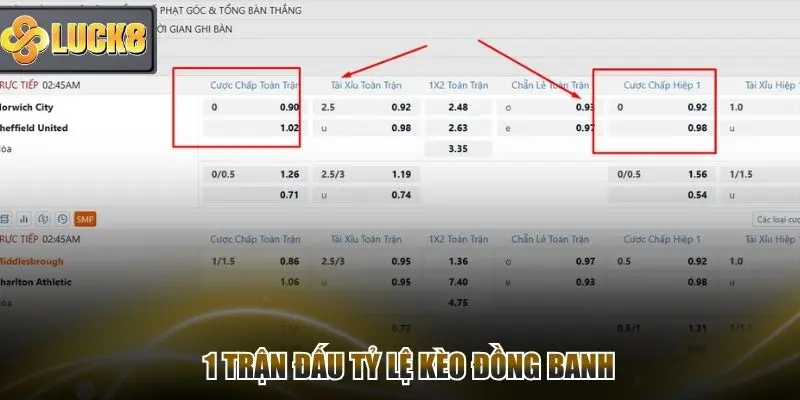 1 trận đấu có tỷ lệ Handicap đồng banh trên Saba Sport