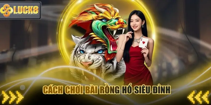Cách chơi bài Rồng Hổ của cao thủ luôn có lãi