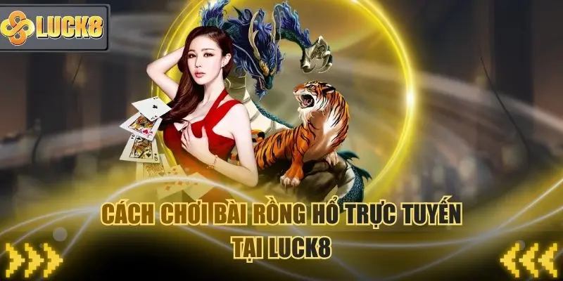Cách chơi bài Rồng Hổ trực tuyến tại Luck8 Casino
