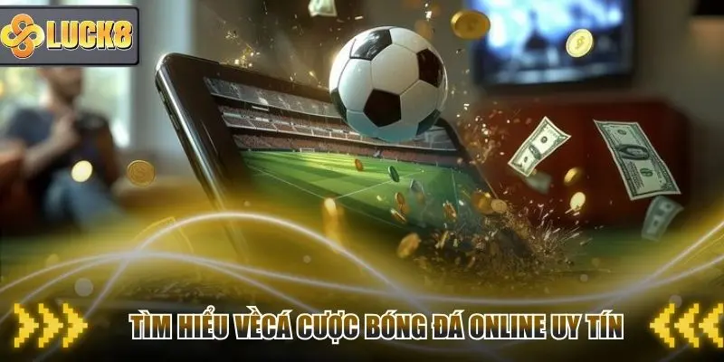 tim-hieu-ve-ca-cuoc-bong-da-online